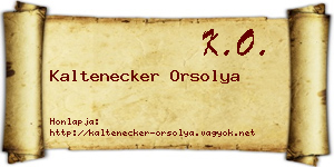 Kaltenecker Orsolya névjegykártya